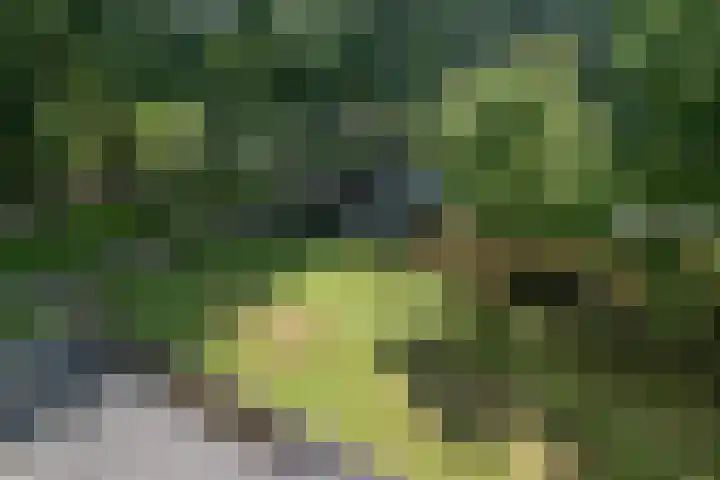 Stadhoudersring 66 Zoetermeer thumbnail 9