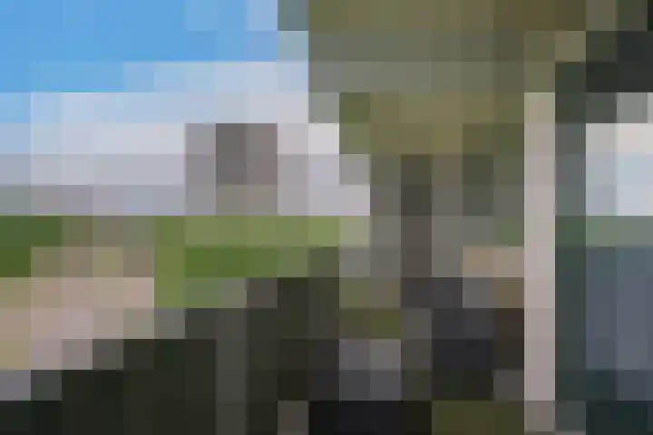 Stadhoudersring 668 Zoetermeer thumbnail 16