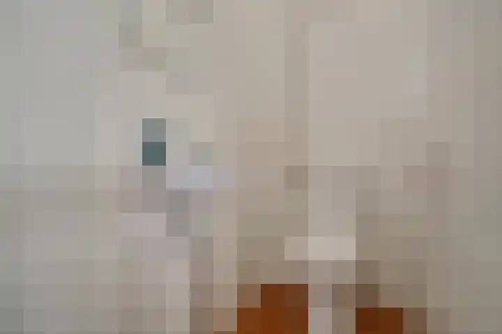 Stadhoudersring 668 Zoetermeer thumbnail 25