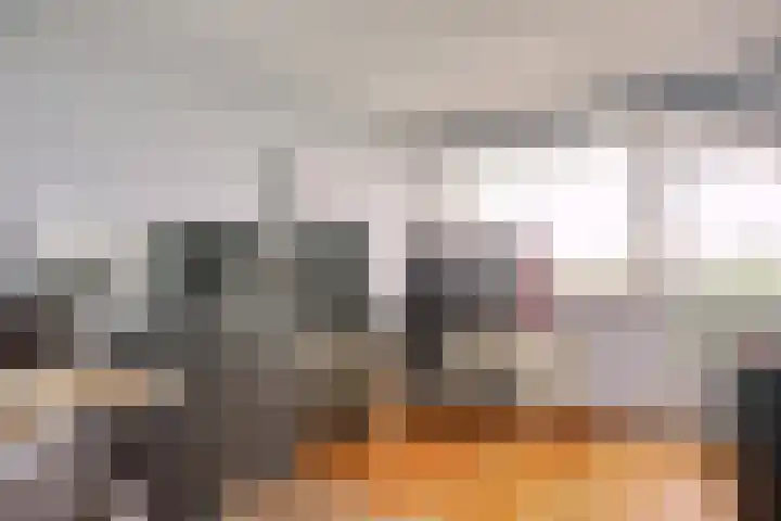Stadhoudersring 668 Zoetermeer thumbnail 26