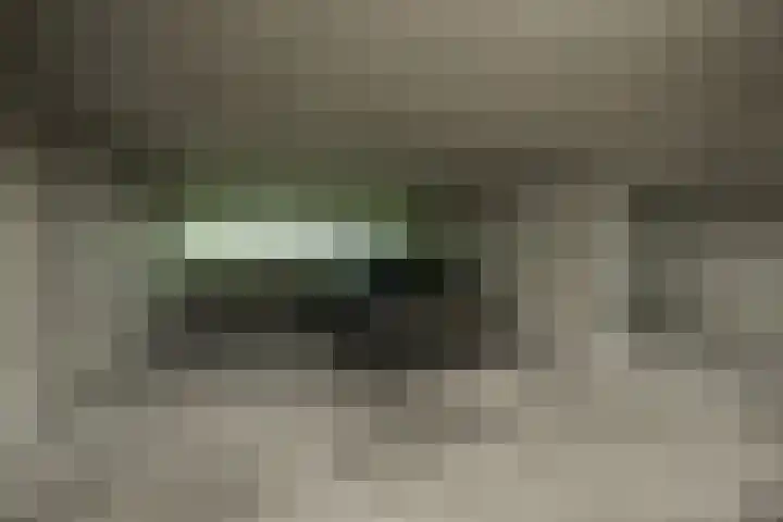 Stadhoudersring 668 Zoetermeer thumbnail 27