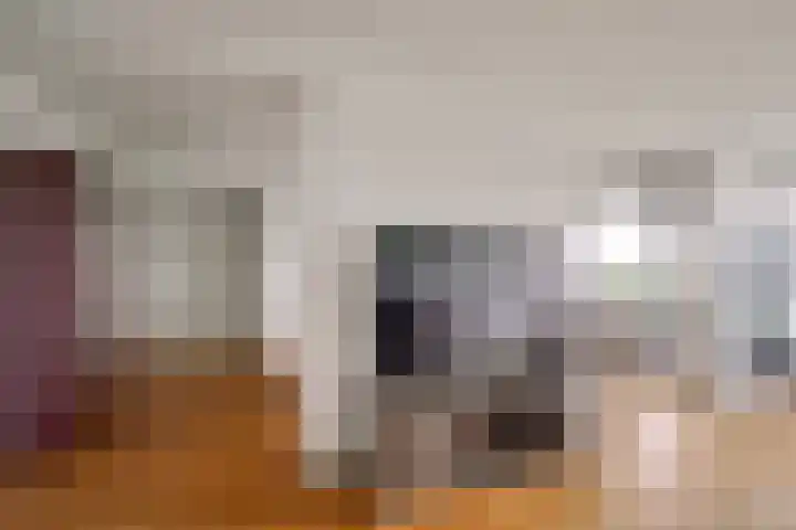 Stadhoudersring 668 Zoetermeer thumbnail 9