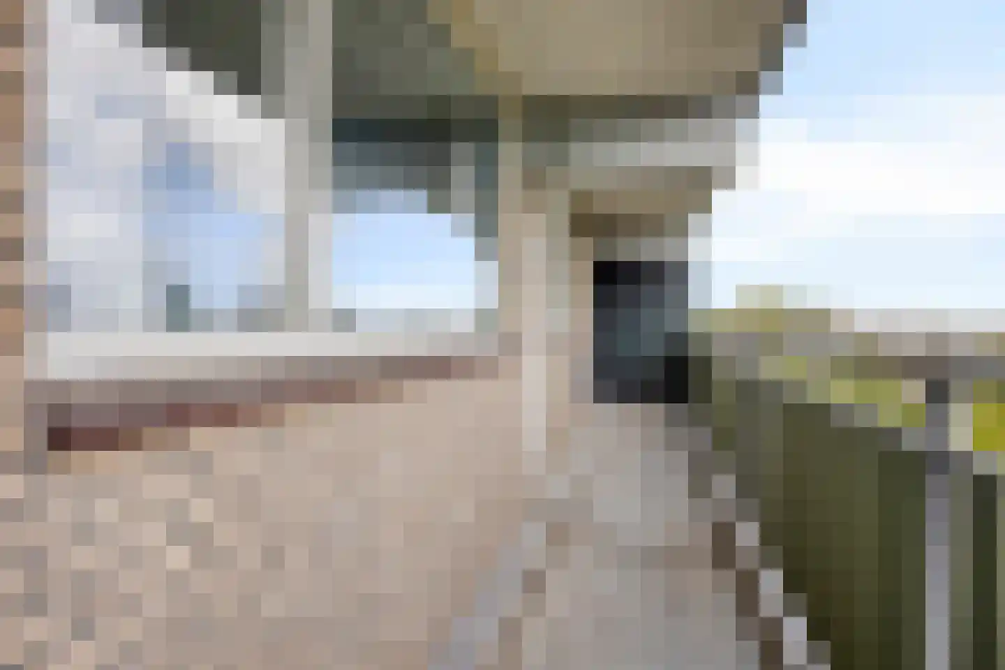 Stadhoudersring 676 Zoetermeer thumbnail 8