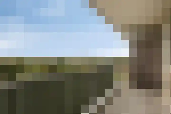 Stadhoudersring 684 Zoetermeer thumbnail 20