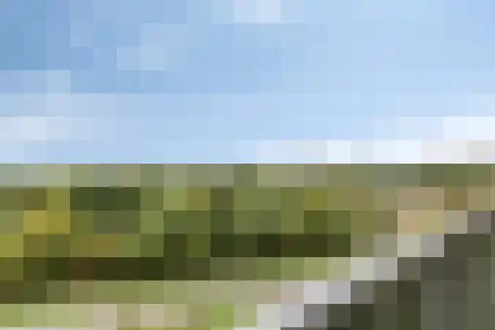 Stadhoudersring 684 Zoetermeer thumbnail 21