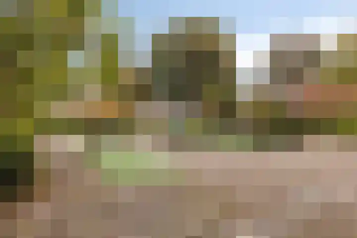 Stadhoudersring 684 Zoetermeer thumbnail 23