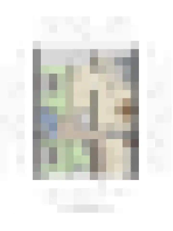 Stadhoudersring 684 Zoetermeer thumbnail 26