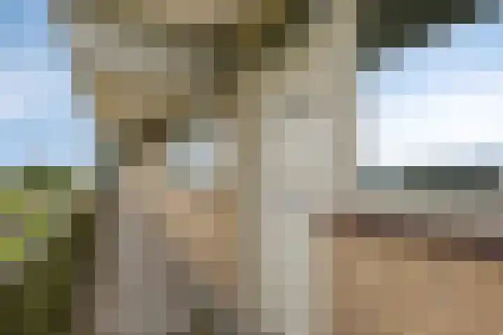 Stadhoudersring 684 Zoetermeer thumbnail 5