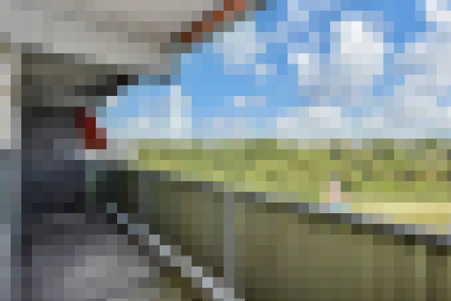 Stadhoudersring 696 Zoetermeer thumbnail 17