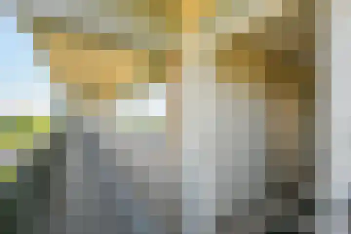 Stadhoudersring 736 Zoetermeer thumbnail 24