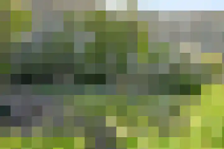 Stadhoudersring 736 Zoetermeer thumbnail 30
