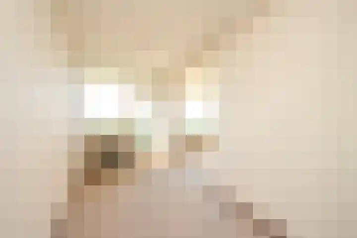 Stadhoudersring 736 Zoetermeer thumbnail 4