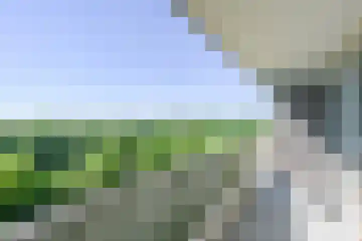 Stadhoudersring 736 Zoetermeer thumbnail 7