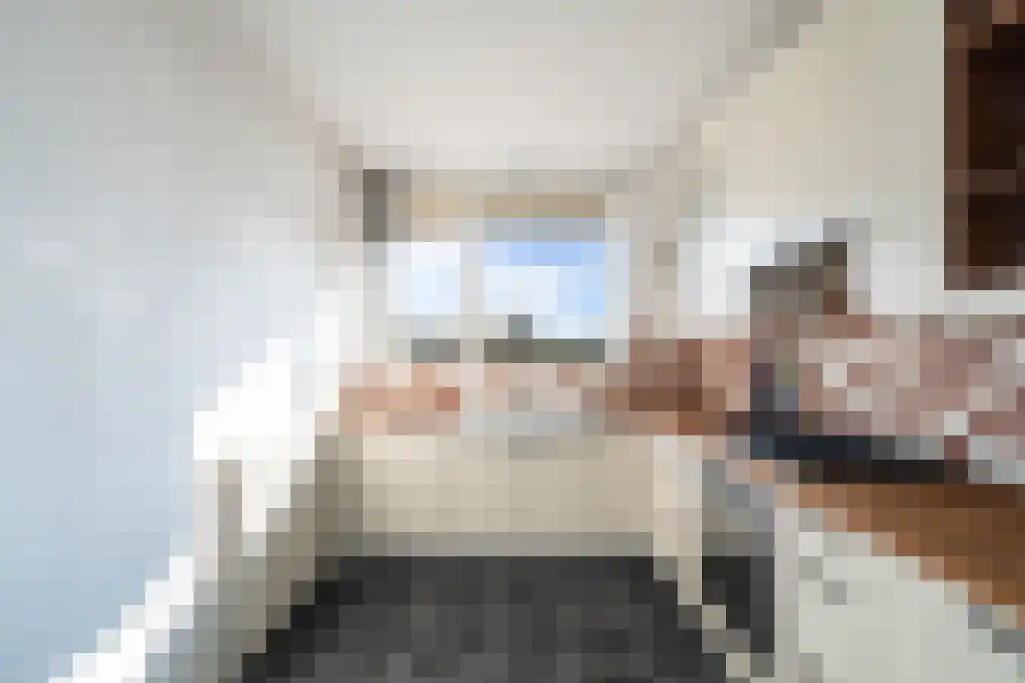 Stadhoudersring 88 Zoetermeer thumbnail 22