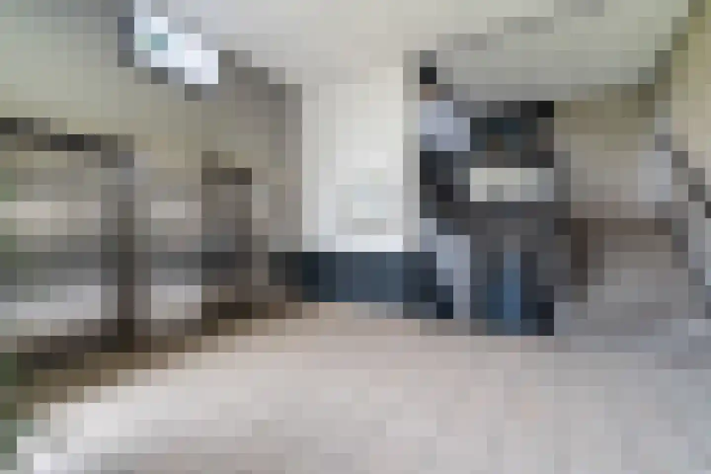 Stadhoudersring 88 Zoetermeer thumbnail 36