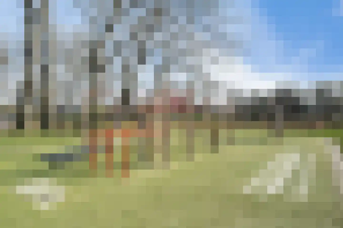 Stadhoudersring 88 Zoetermeer thumbnail 42