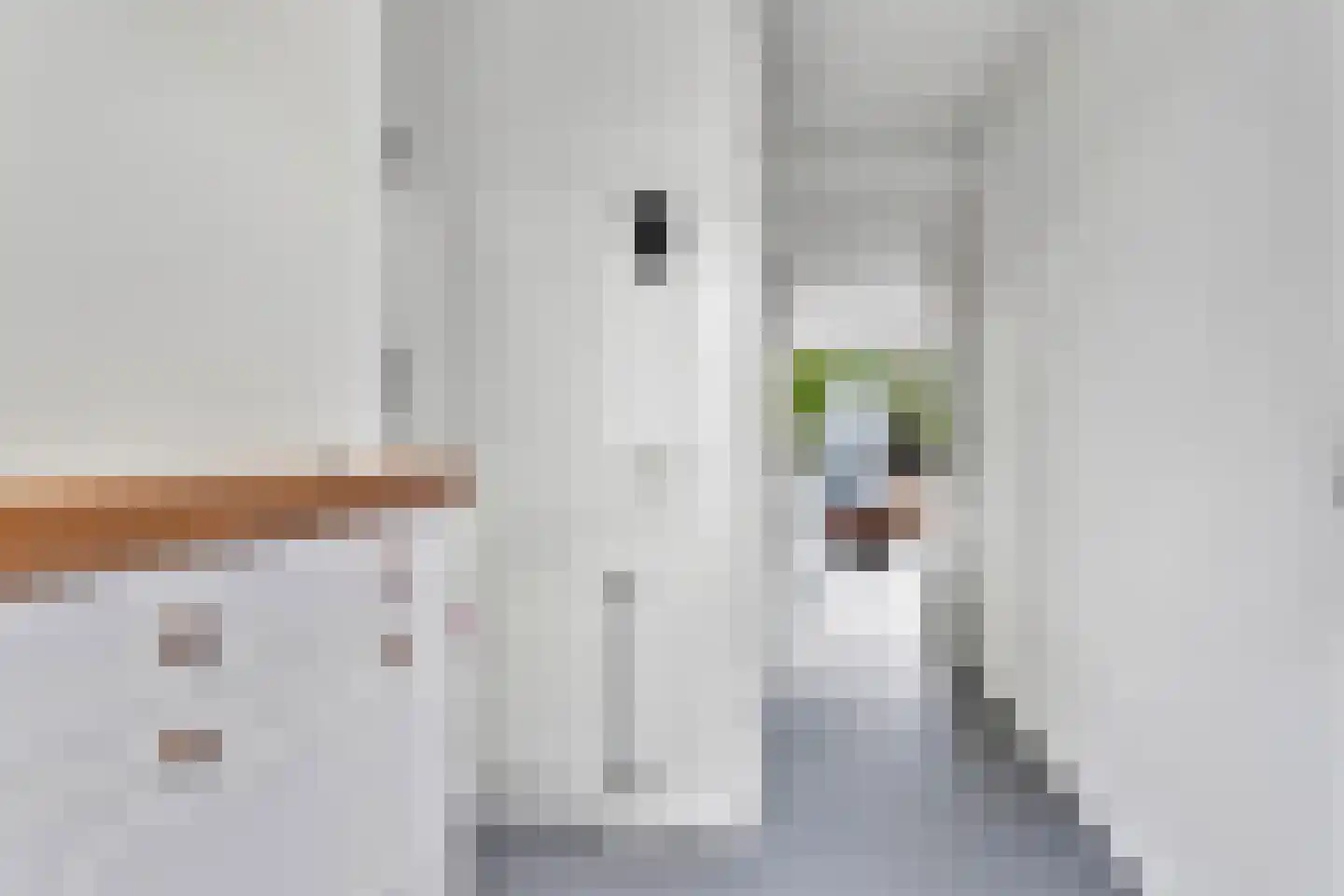 Stadhoudersstraat 102 Arnhem thumbnail 6