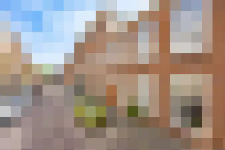 Stadhoudersstraat 21 Rijswijk thumbnail 28