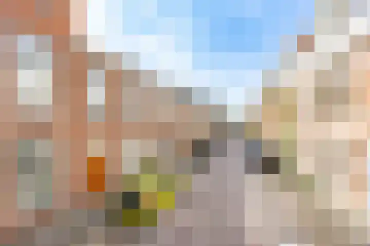 Stadhoudersstraat 21 Rijswijk thumbnail 29