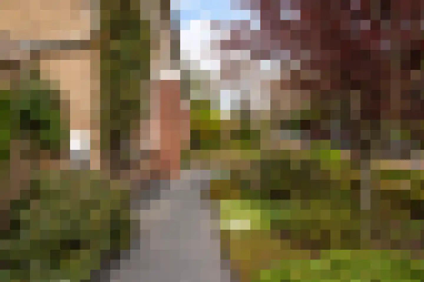 Stadhouderstraat 2 Dordrecht thumbnail 5