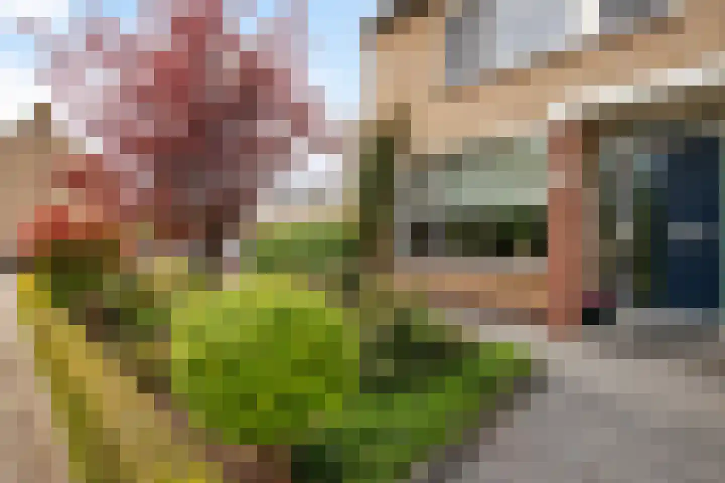 Stadhouderstraat 2 Dordrecht thumbnail 6