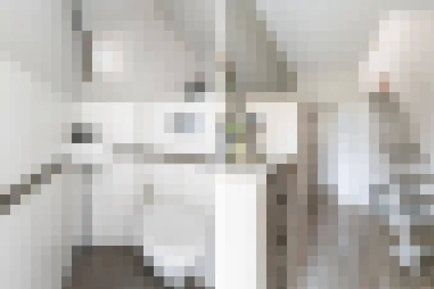 Stadhouderstraat 2 Dordrecht thumbnail 7