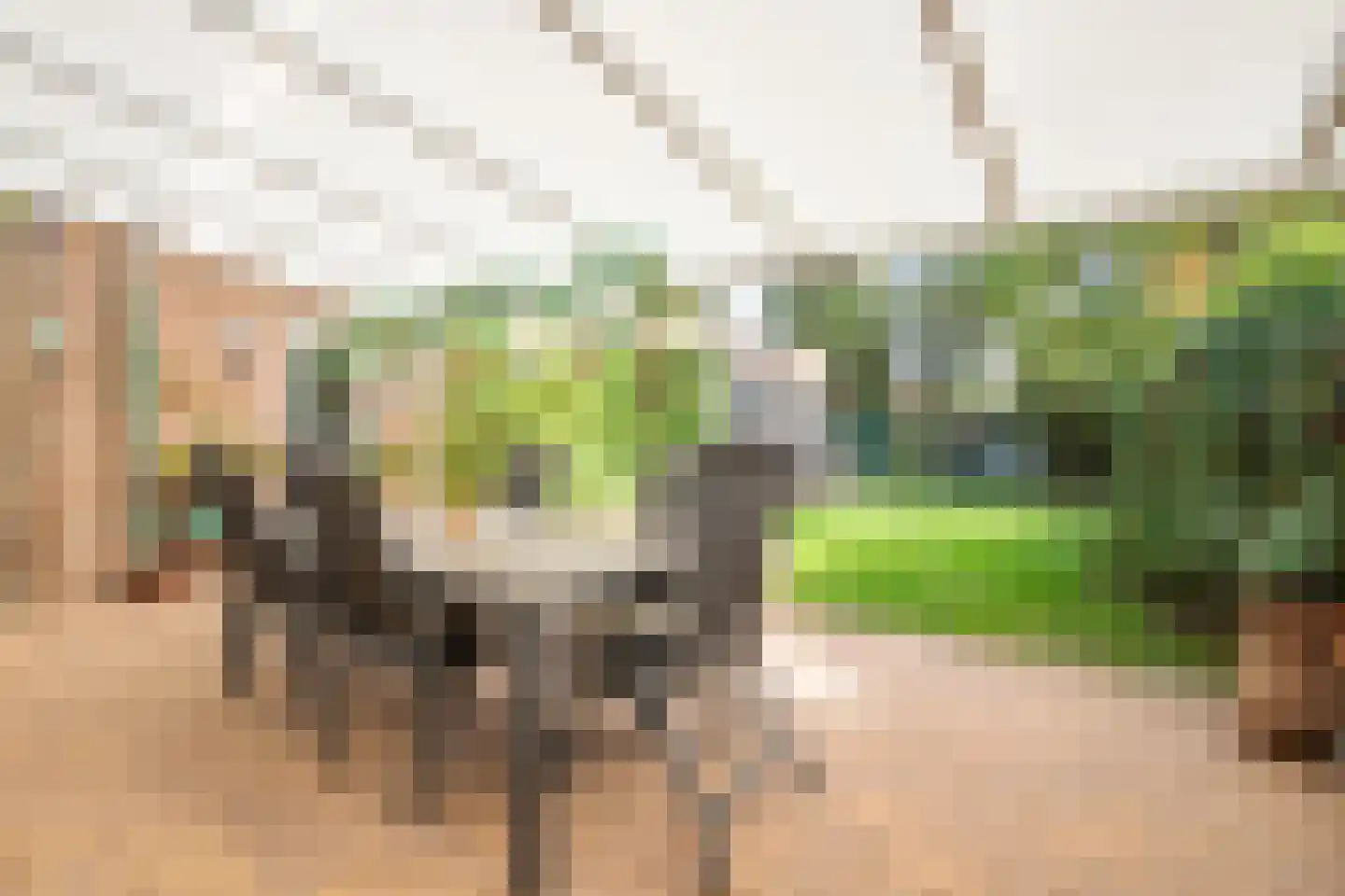 Stadhouderstraat 29 Brunssum thumbnail 18