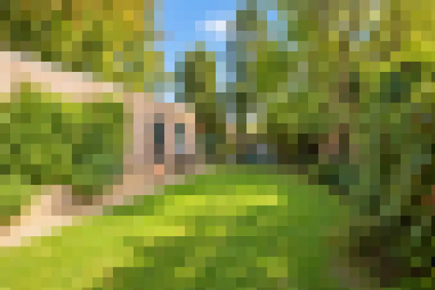 Stadhouderstraat 29 Brunssum thumbnail 20
