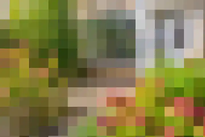 Stadhouderstraat 8 Dordrecht foto 2
