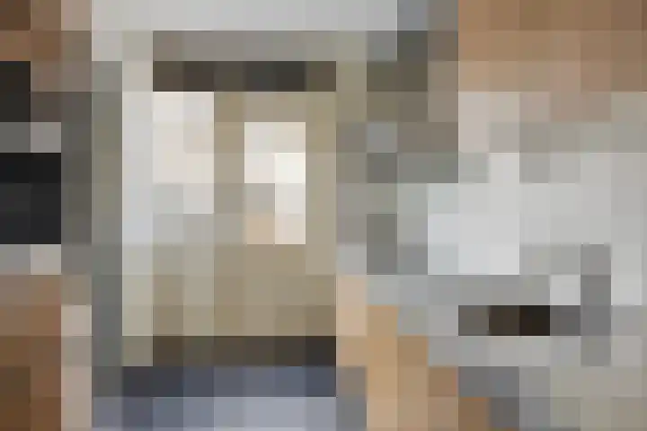 Stadhouderstraat 8 Dordrecht thumbnail 9