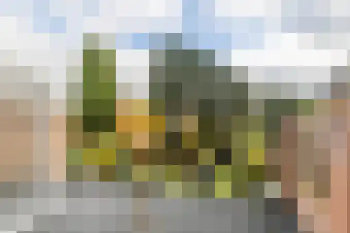 Stadhouderstraat 9 Brunssum thumbnail 28