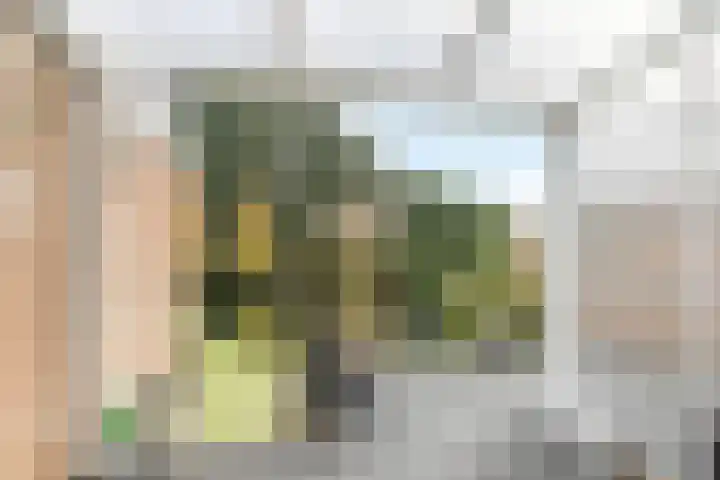 Stadhouderstraat 9 Brunssum thumbnail 30