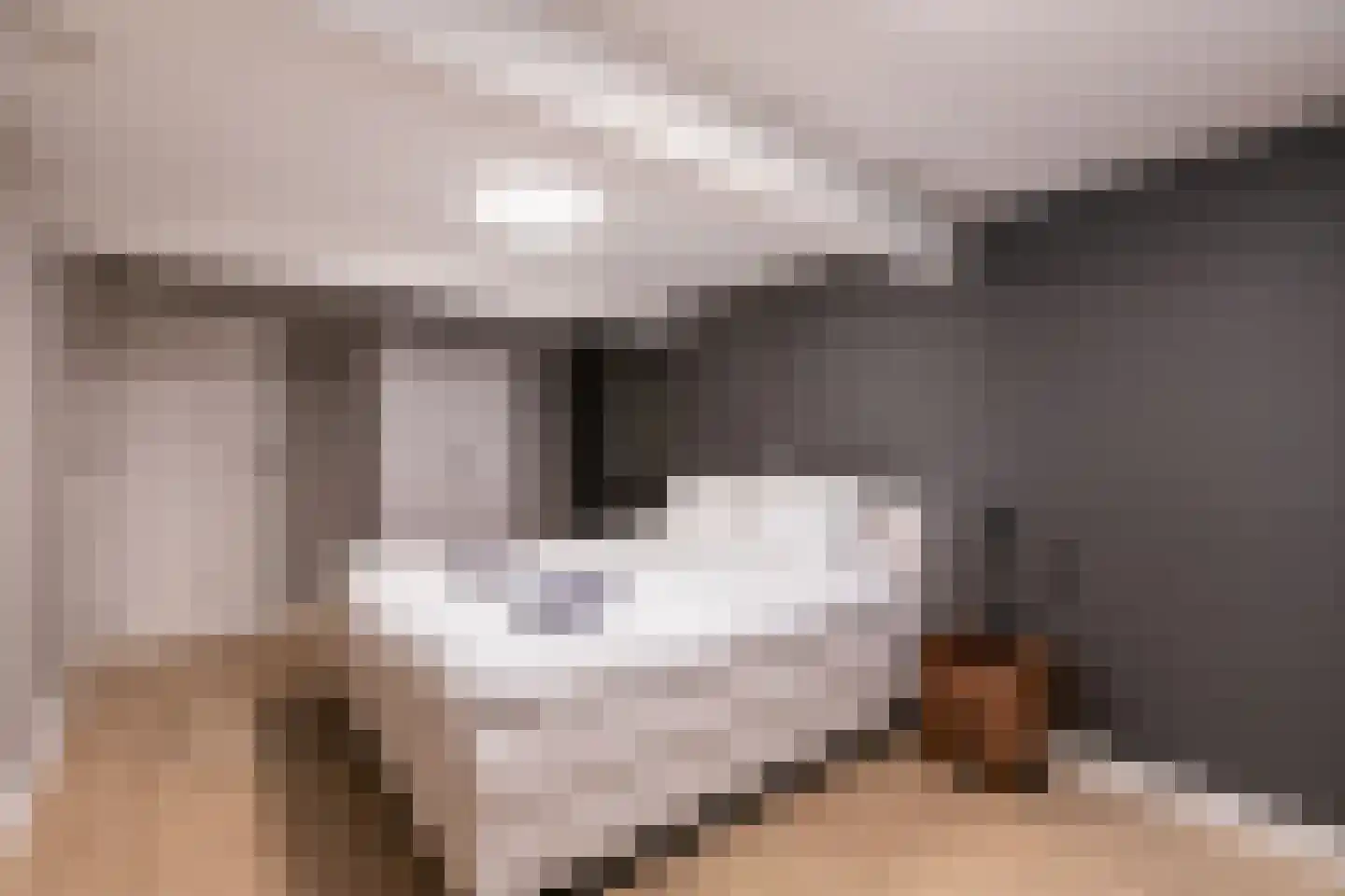Stadhoudersweg 105 A Rotterdam thumbnail 19
