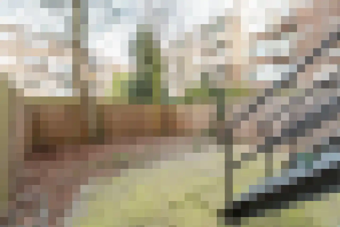 Stadhoudersweg 105 A Rotterdam thumbnail 39