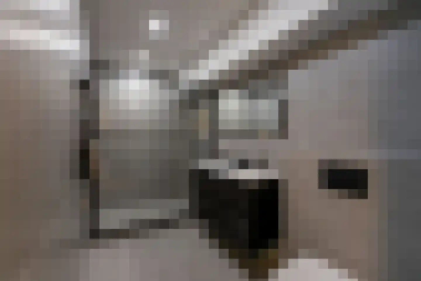 Stadhoudersweg 105 A Rotterdam thumbnail 4