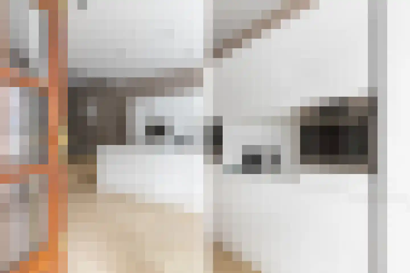 Stadhoudersweg 105 A Rotterdam thumbnail 8