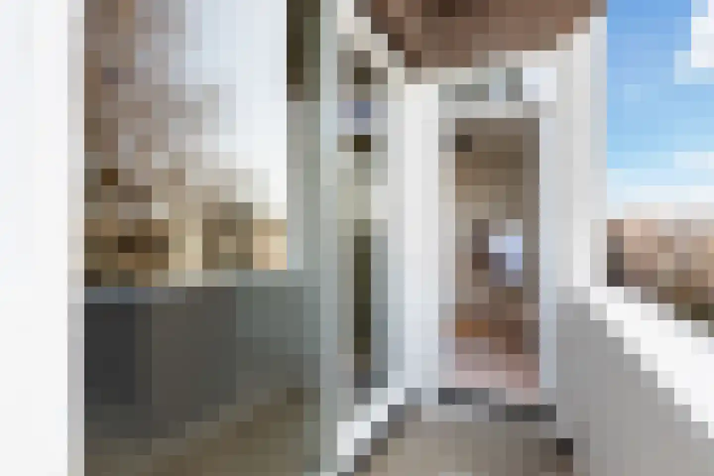 Stadhoudersweg 105 C Rotterdam thumbnail 38