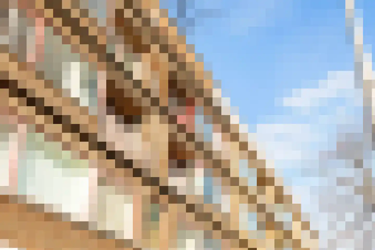 Stadhoudersweg 105 C Rotterdam thumbnail 8