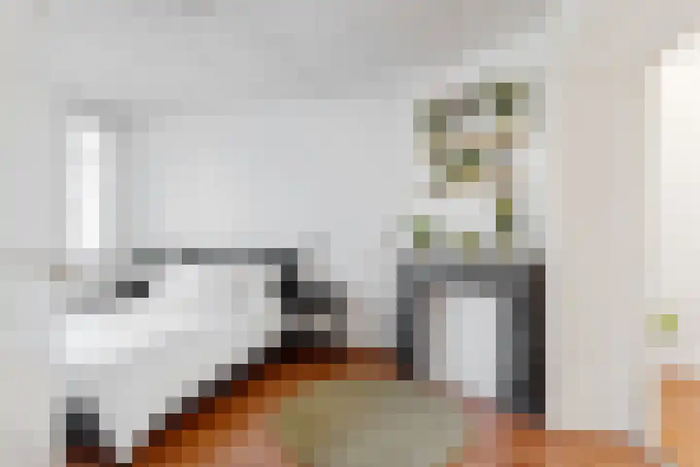 Stadhoudersweg 105 D Rotterdam thumbnail 7