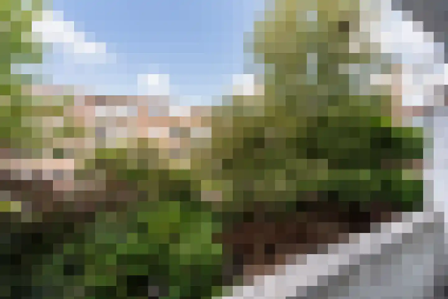 Stadhoudersweg 109 C Rotterdam thumbnail 22