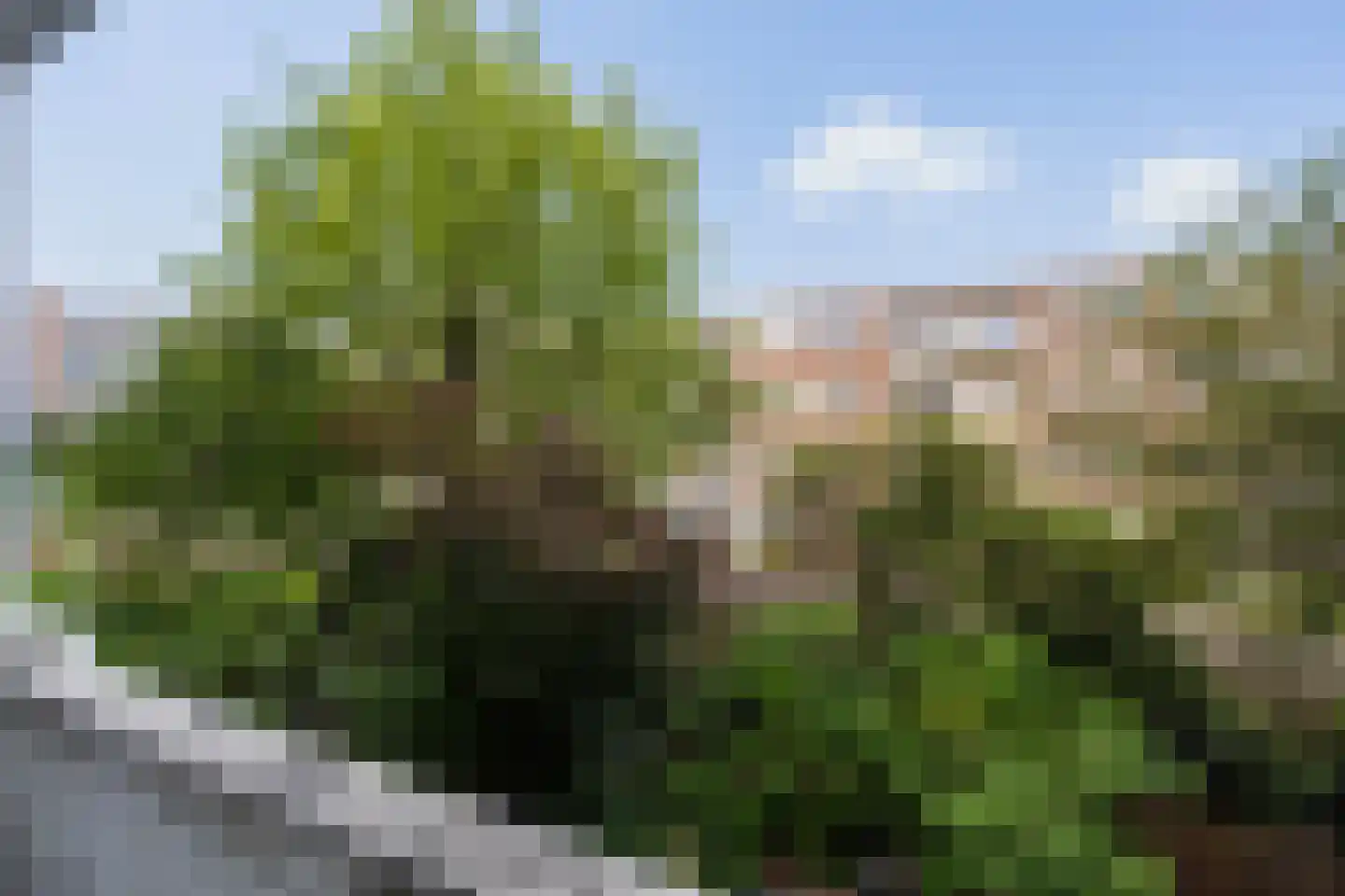 Stadhoudersweg 109 D Rotterdam thumbnail 21