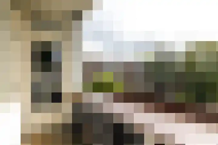 Stadhoudersweg 110 D Rotterdam thumbnail 11