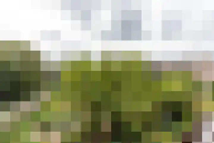 Stadhoudersweg 110 D Rotterdam thumbnail 12