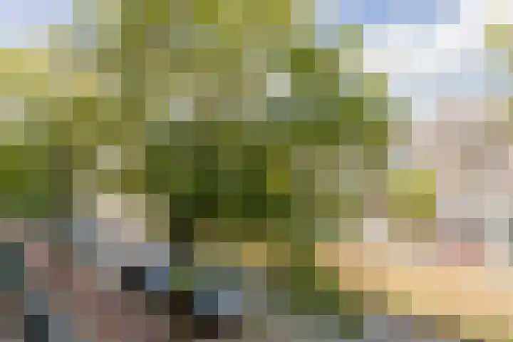 Stadhoudersweg 110 D Rotterdam thumbnail 20
