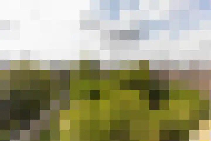 Stadhoudersweg 110 D Rotterdam thumbnail 25