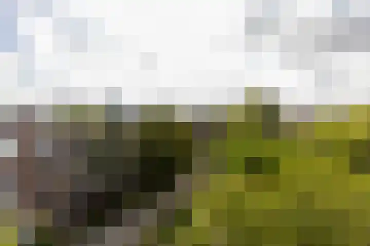 Stadhoudersweg 110 D Rotterdam thumbnail 31