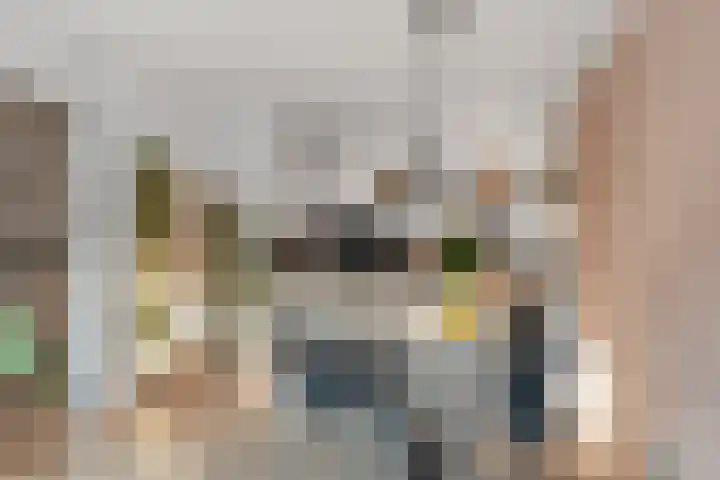 Stadhoudersweg 113 D Rotterdam thumbnail 12