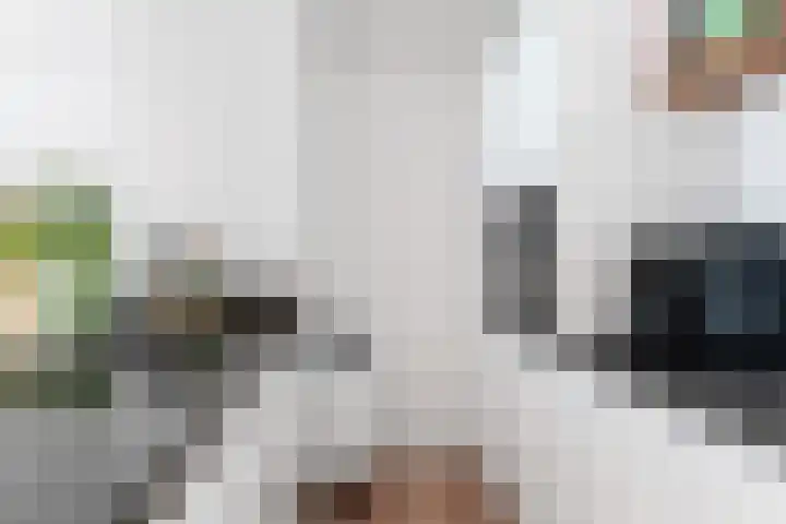 Stadhoudersweg 113 D Rotterdam thumbnail 18