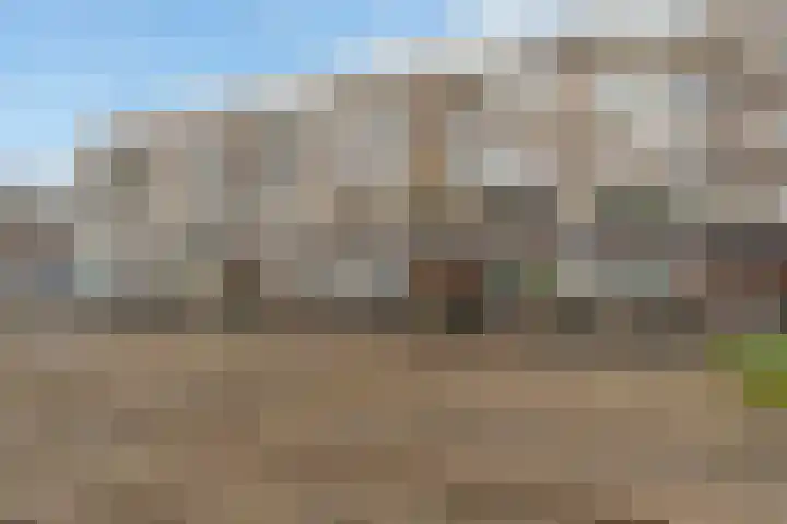 Stadhoudersweg 113 D Rotterdam thumbnail 32