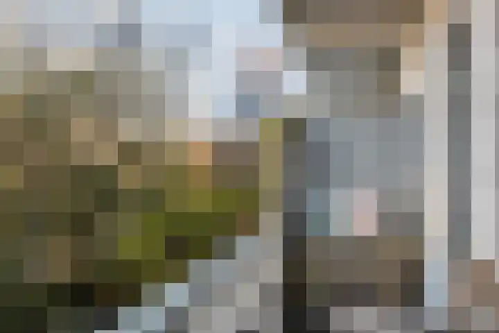 Stadhoudersweg 113 D Rotterdam thumbnail 5